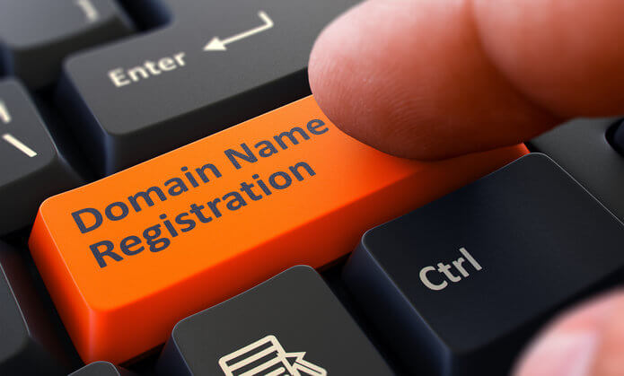 do you own your domain name